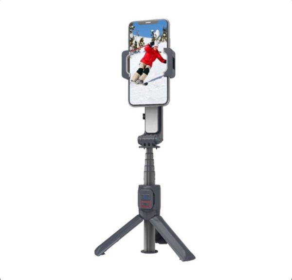 گیمبال پرودو مدل 2Axis Stabilizer PD-ASGMRC-GGY
