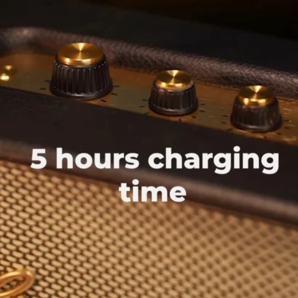 اسپیکر بلوتوثی قابل حمل گرین لاین مدل Classic - Image 3
